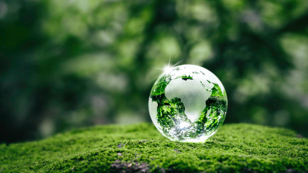 Environmental Protection